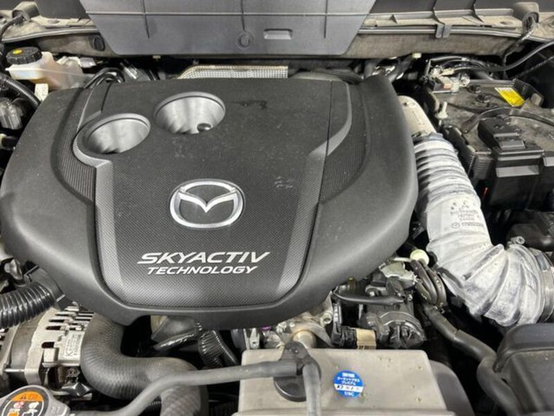 CX-8