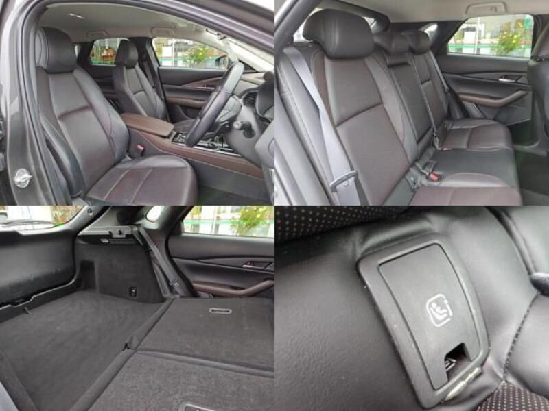 CX-30