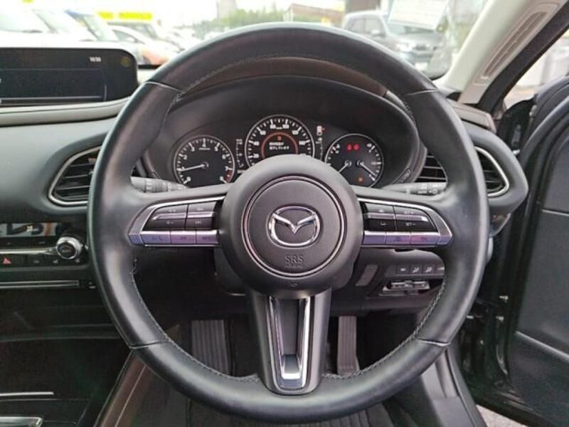 CX-30