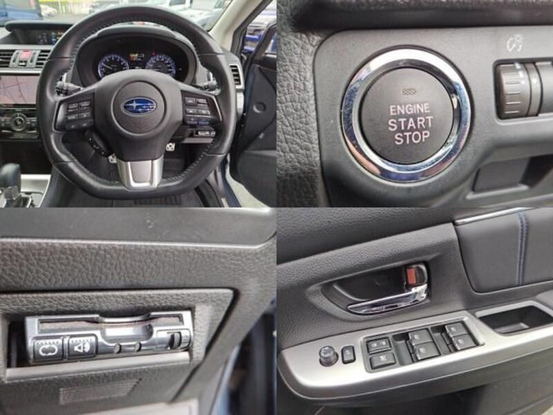 LEVORG