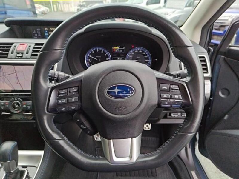 LEVORG