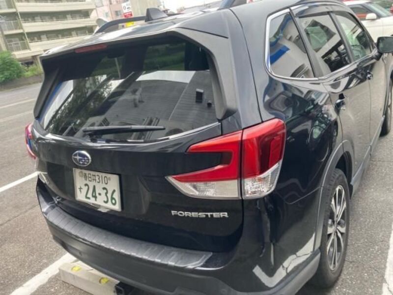 FORESTER