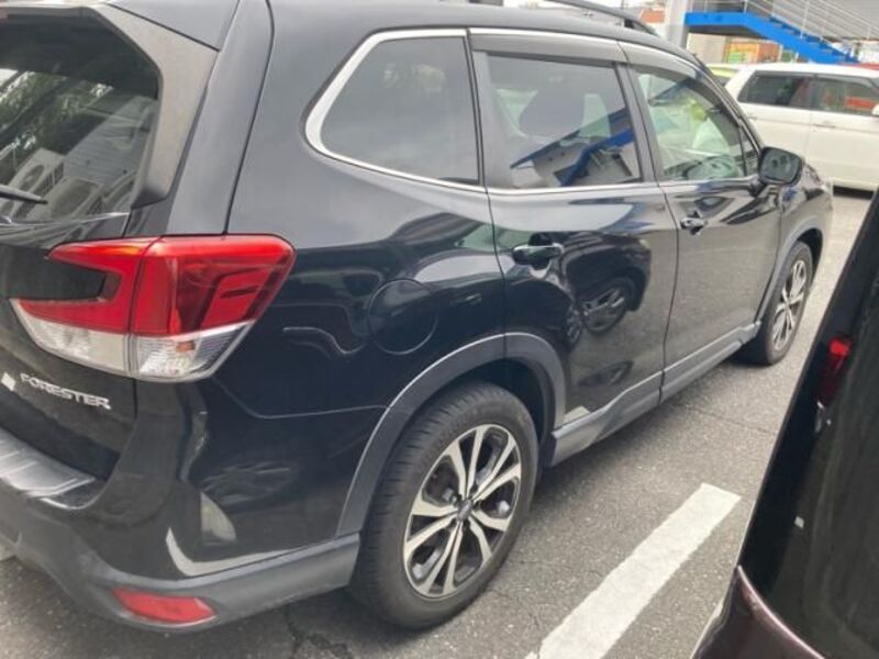 FORESTER