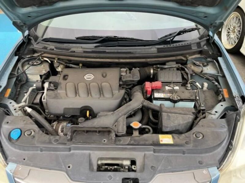 BLUEBIRD SYLPHY
