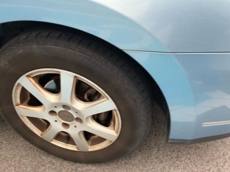 BLUEBIRD SYLPHY