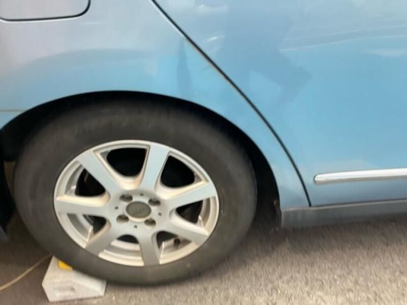 BLUEBIRD SYLPHY