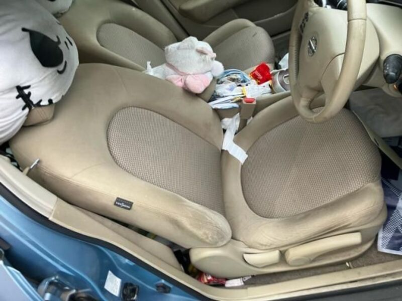 BLUEBIRD SYLPHY