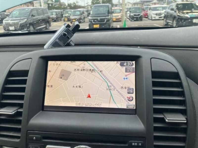 BLUEBIRD SYLPHY