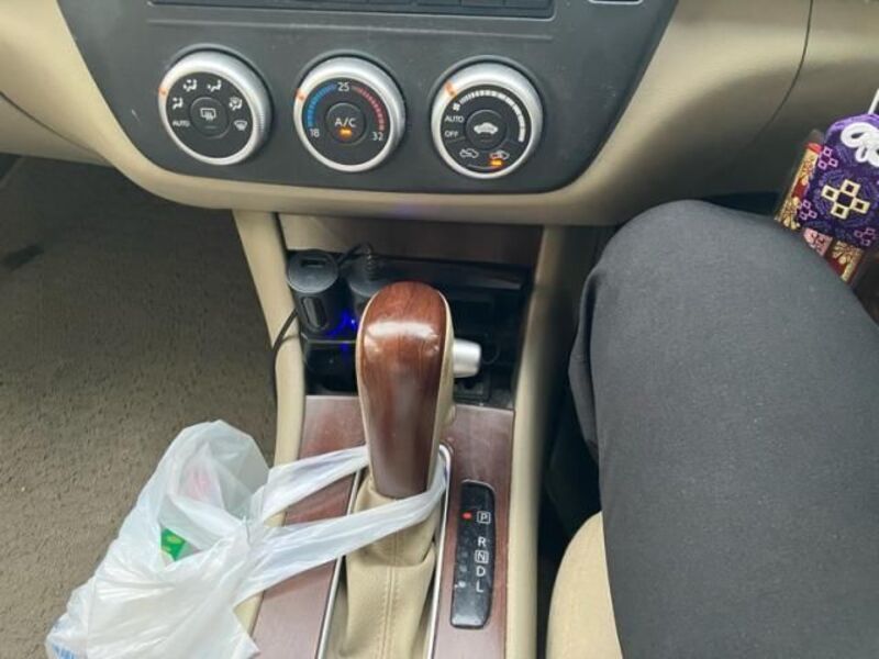 BLUEBIRD SYLPHY
