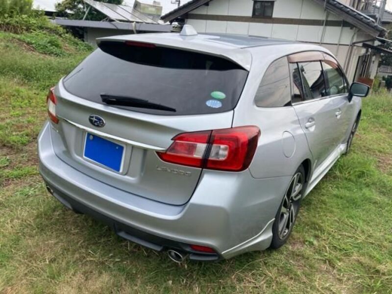 LEVORG