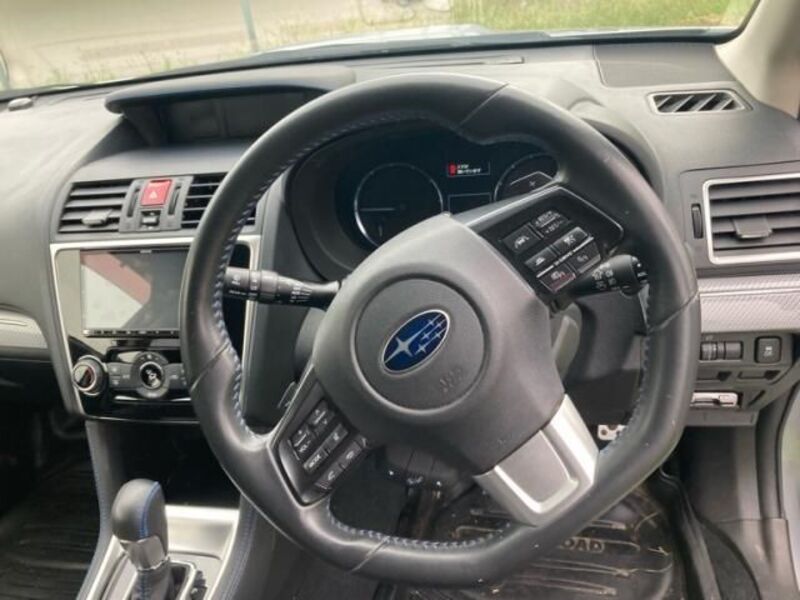 LEVORG