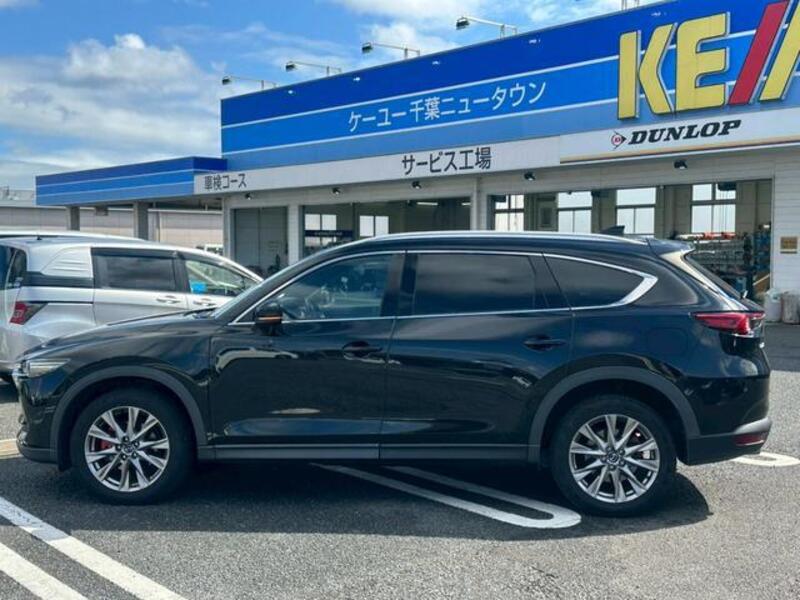 CX-8