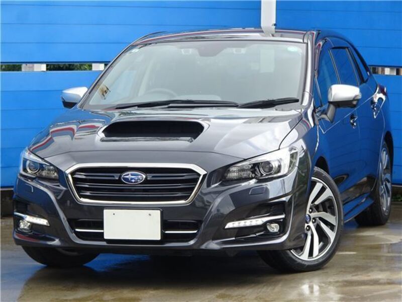 LEVORG-0