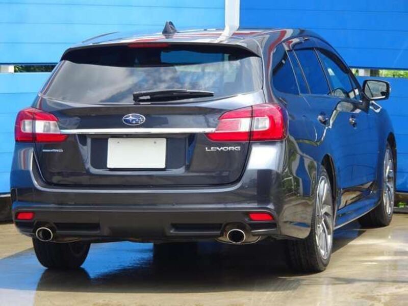 LEVORG