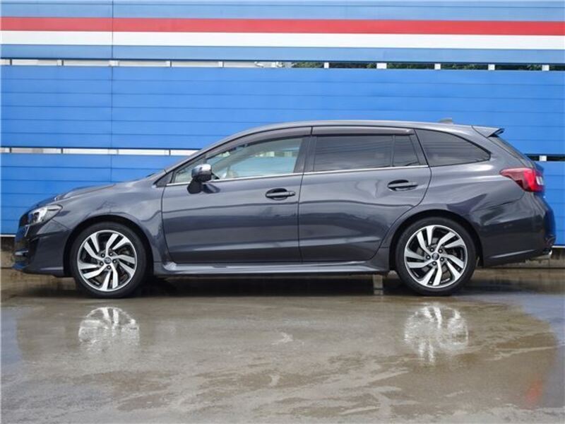 LEVORG