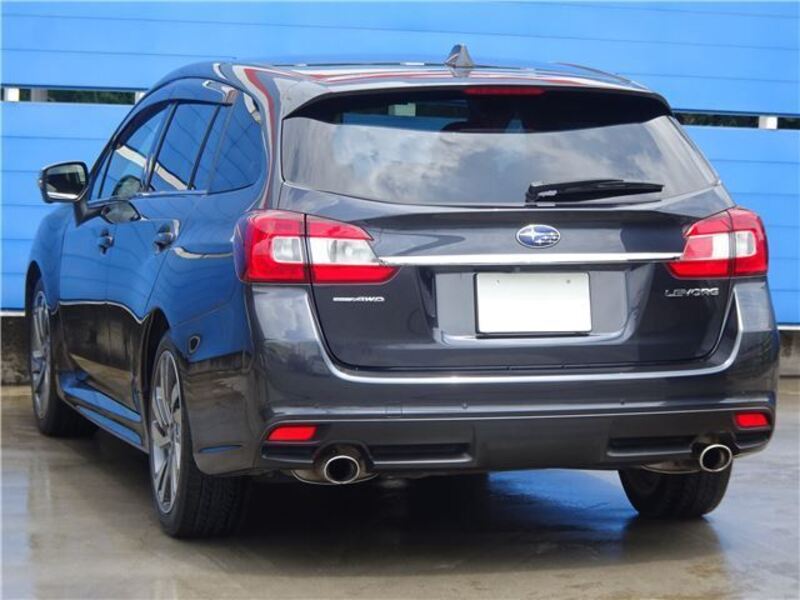 LEVORG