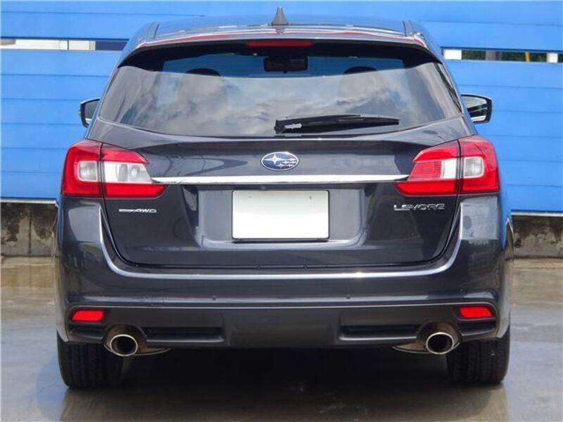 LEVORG