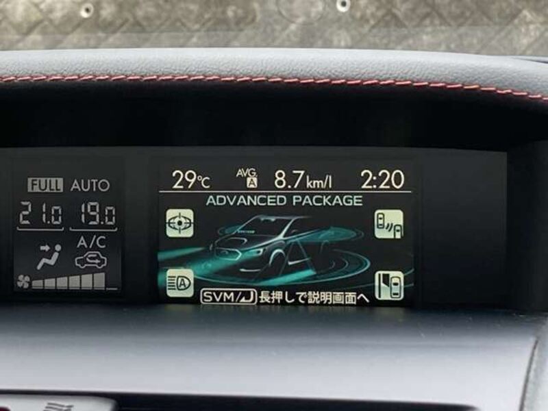 LEVORG