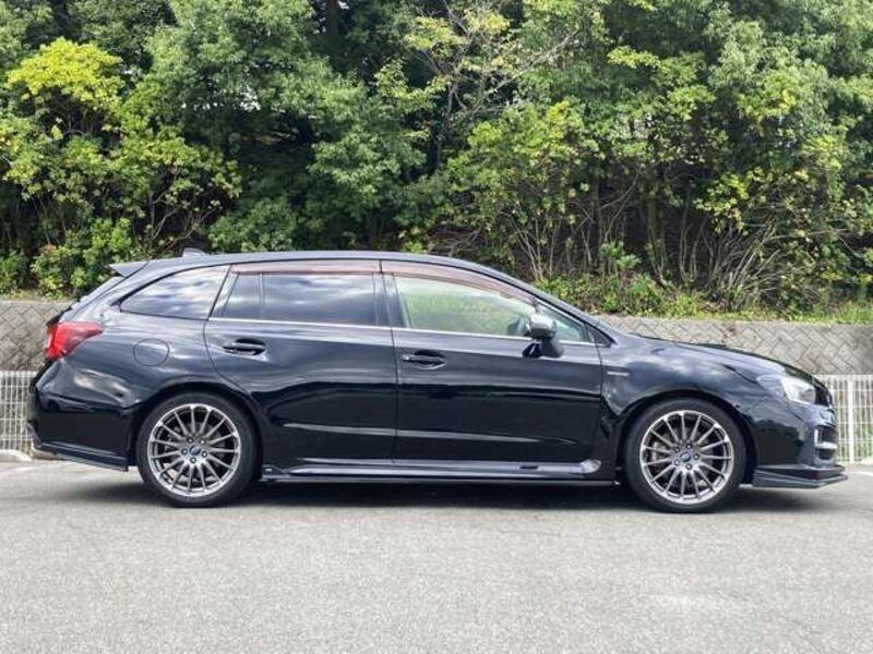 LEVORG
