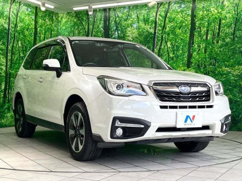 FORESTER