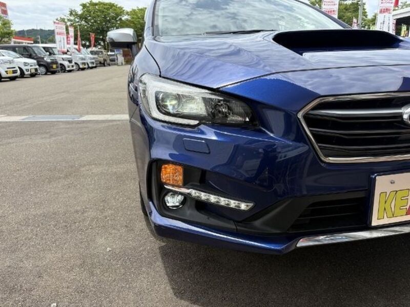 LEVORG