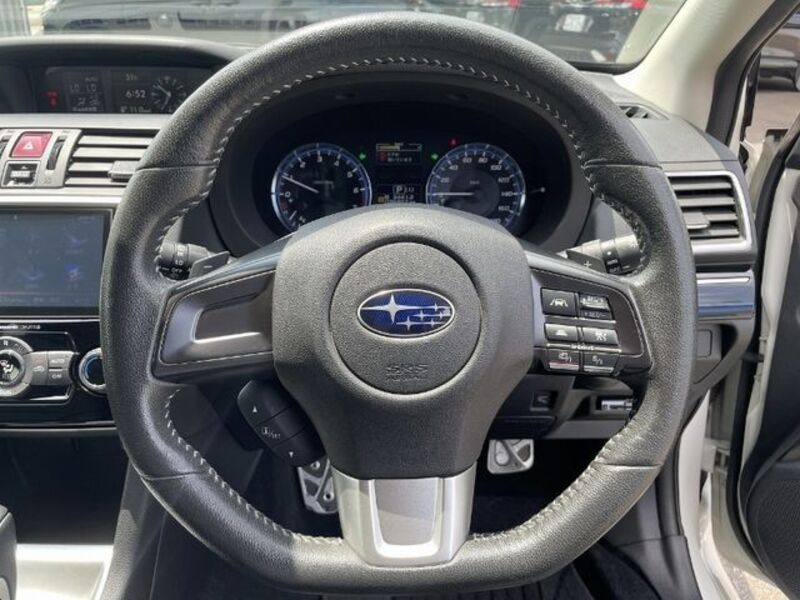 LEVORG