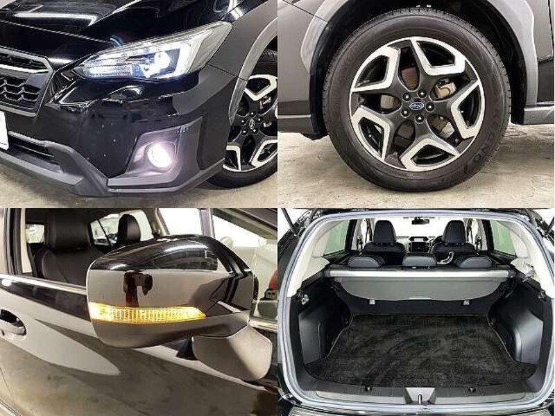 XV