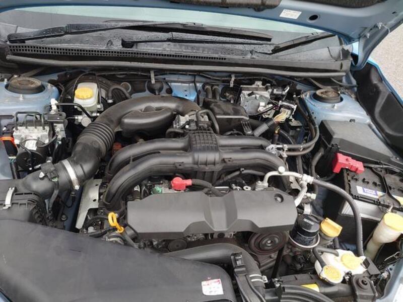 XV