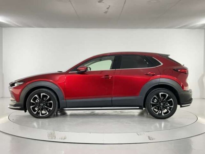 CX-30