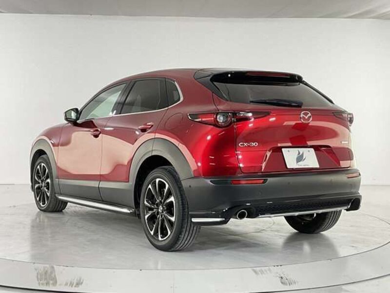 CX-30