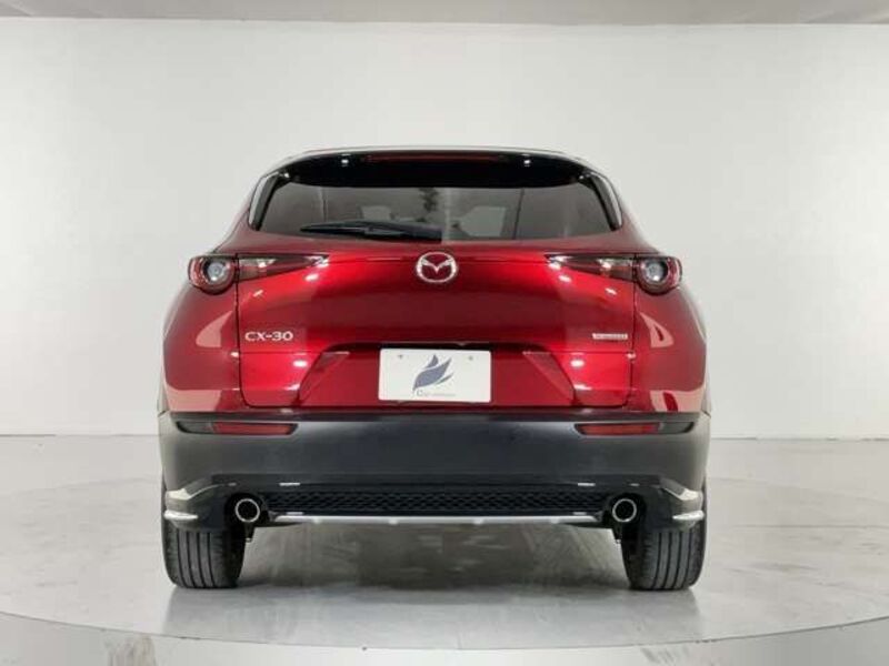 CX-30