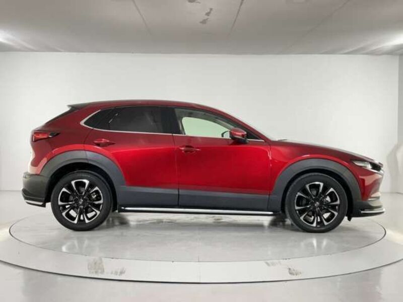 CX-30