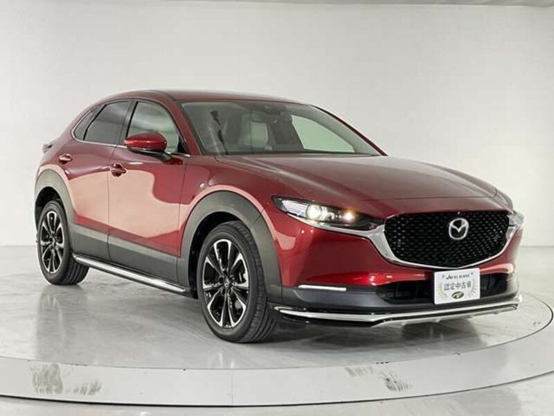 CX-30
