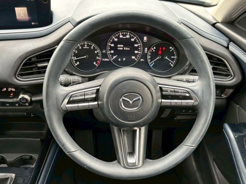 CX-30