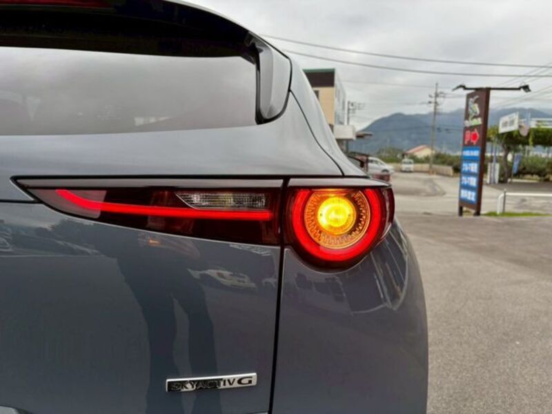 CX-30