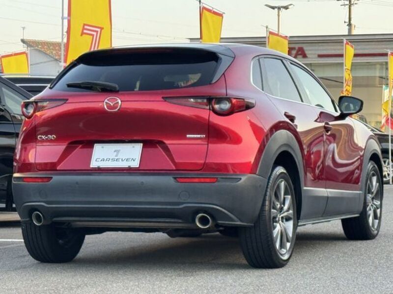 CX-30