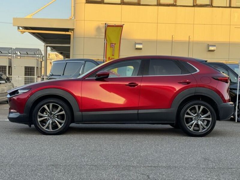 CX-30