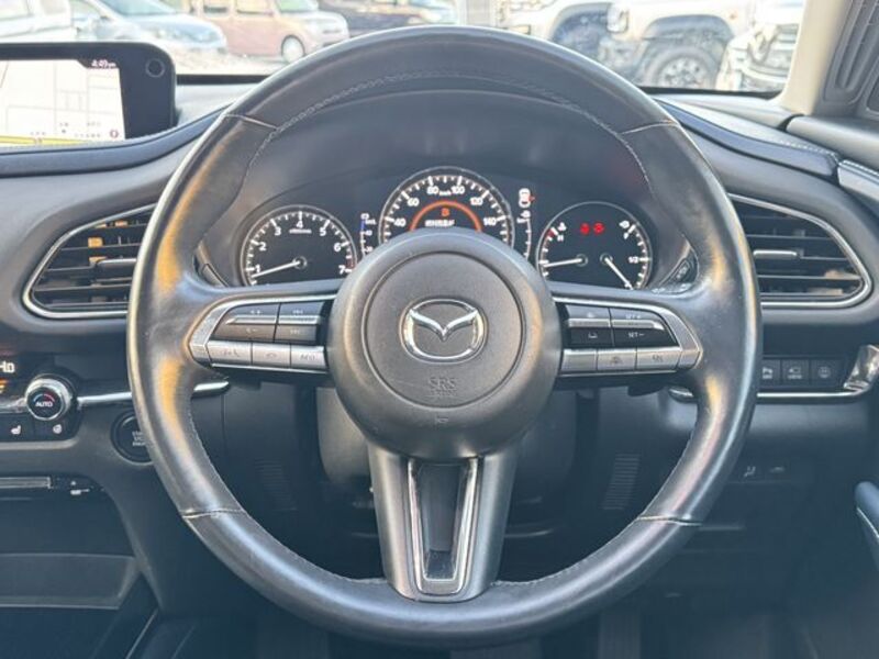 CX-30