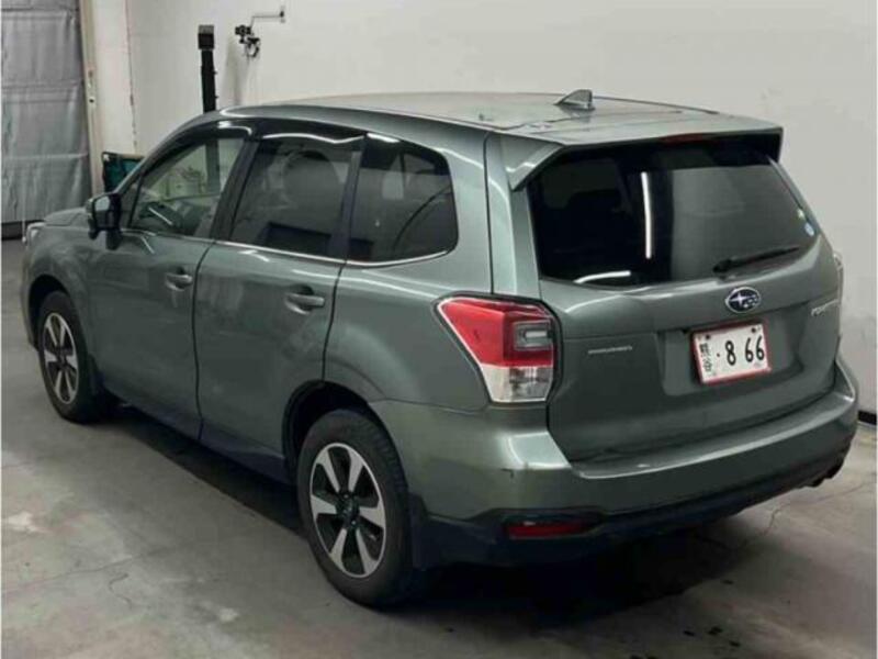 FORESTER