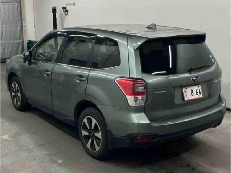 FORESTER