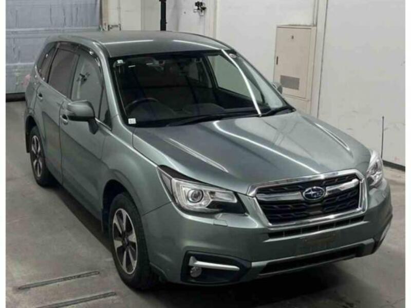 FORESTER