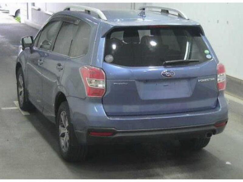 FORESTER