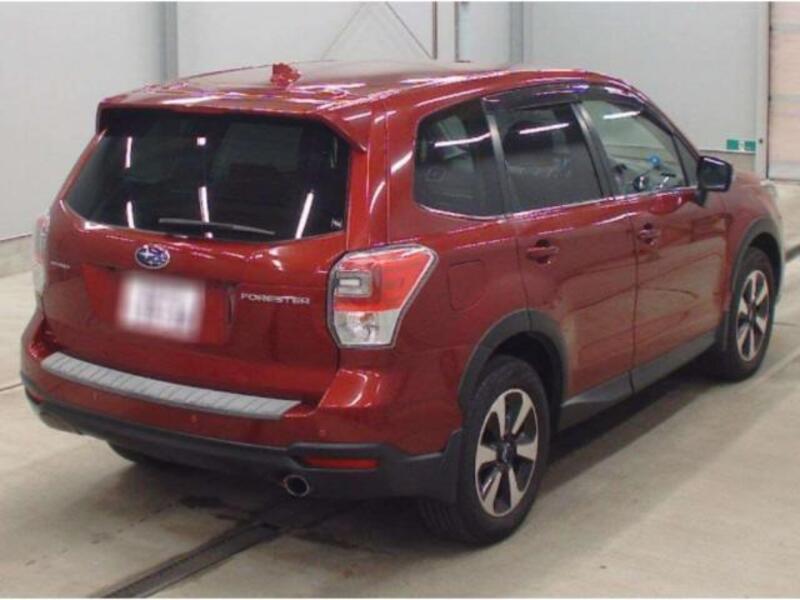 FORESTER
