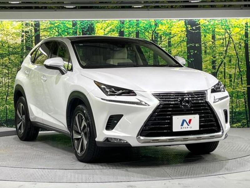 NX