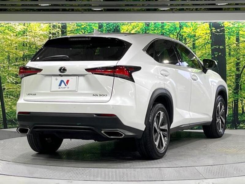 NX