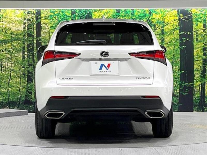 NX