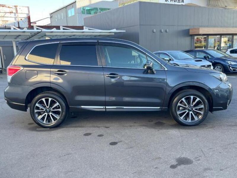 FORESTER
