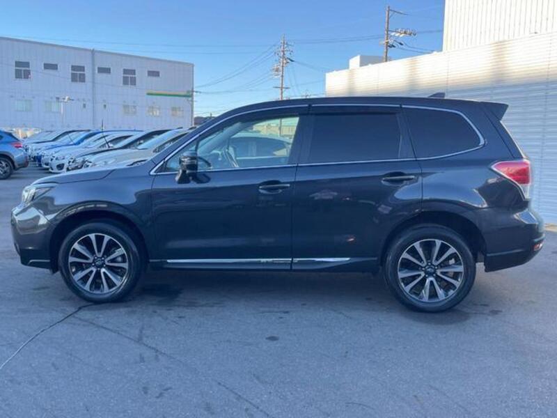 FORESTER