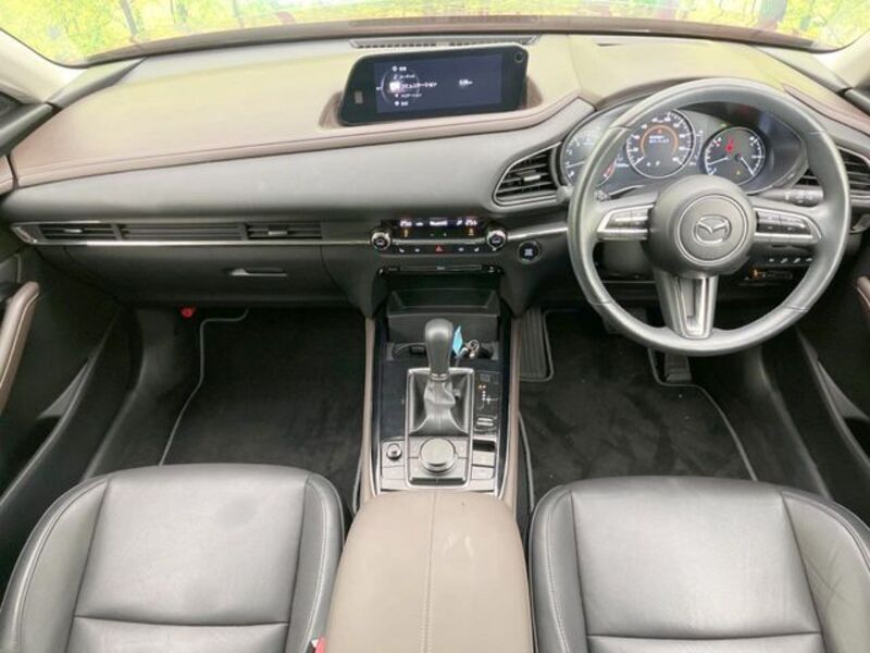 CX-30