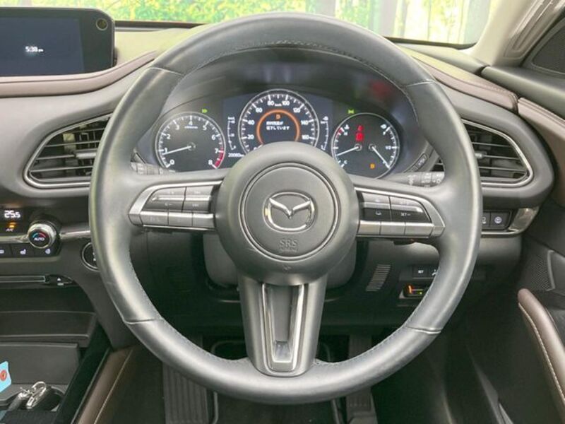 CX-30